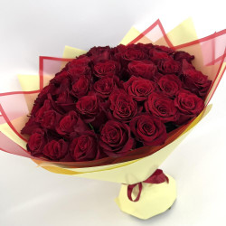 51 бордовая роза