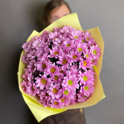 9 розовых кустовых хризантем